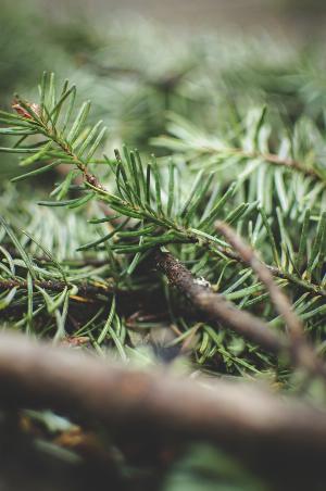 22 - QSy1NM7.jpg Android HD Nature Wallpapers